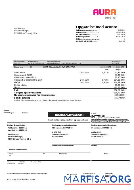 Realistic Denmark AURA Energi business utility bill template in Word and PDF formats